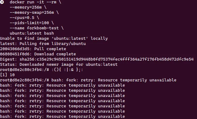 ผลการทดสอบ Fork Bomb ใน Docker