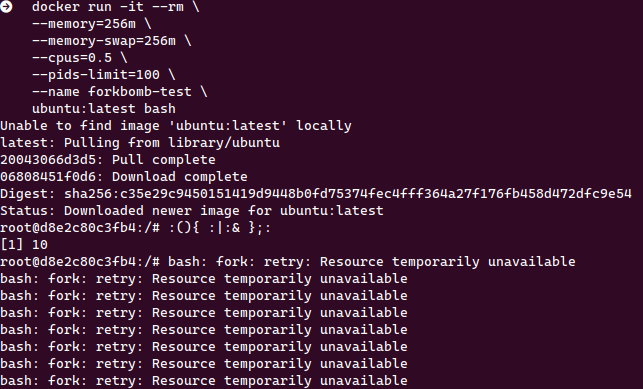 ผลการทดสอบ Fork Bomb ใน Docker